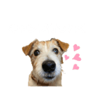 ミキヲです。（個別スタンプ：12）