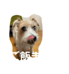 ミキヲです。（個別スタンプ：13）