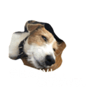 ミキヲです。（個別スタンプ：14）