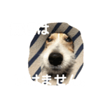 ミキヲです。（個別スタンプ：16）
