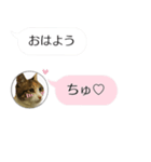 ねこも一緒にLINEしてくれるスタンプ恋愛編（個別スタンプ：1）