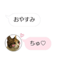 ねこも一緒にLINEしてくれるスタンプ恋愛編（個別スタンプ：2）