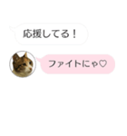 ねこも一緒にLINEしてくれるスタンプ恋愛編（個別スタンプ：4）