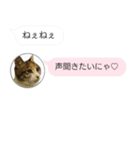 ねこも一緒にLINEしてくれるスタンプ恋愛編（個別スタンプ：9）