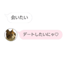 ねこも一緒にLINEしてくれるスタンプ恋愛編（個別スタンプ：10）