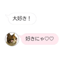 ねこも一緒にLINEしてくれるスタンプ恋愛編（個別スタンプ：11）