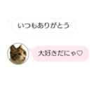 ねこも一緒にLINEしてくれるスタンプ恋愛編（個別スタンプ：16）