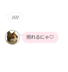 ねこも一緒にLINEしてくれるスタンプ恋愛編（個別スタンプ：17）