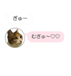 ねこも一緒にLINEしてくれるスタンプ恋愛編（個別スタンプ：19）