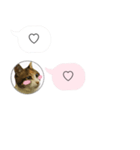 ねこも一緒にLINEしてくれるスタンプ恋愛編（個別スタンプ：20）