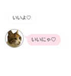 ねこも一緒にLINEしてくれるスタンプ恋愛編（個別スタンプ：21）