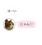 ねこも一緒にLINEしてくれるスタンプ恋愛編（個別スタンプ：22）