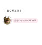 ねこも一緒にLINEしてくれるスタンプ恋愛編（個別スタンプ：24）