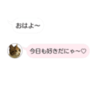 ねこも一緒にLINEしてくれるスタンプ恋愛編（個別スタンプ：25）