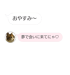 ねこも一緒にLINEしてくれるスタンプ恋愛編（個別スタンプ：26）