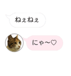 ねこも一緒にLINEしてくれるスタンプ恋愛編（個別スタンプ：29）