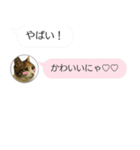 ねこも一緒にLINEしてくれるスタンプ恋愛編（個別スタンプ：30）