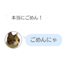 ねこも一緒にLINEしてくれるスタンプ恋愛編（個別スタンプ：32）