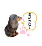 ミニチュアダックスフンドのるー。その②（個別スタンプ：22）