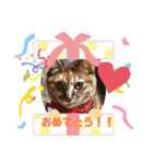 さっちゃん＆アーリー3（個別スタンプ：1）