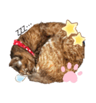 さっちゃん＆アーリー3（個別スタンプ：9）