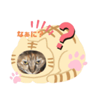 さっちゃん＆アーリー3（個別スタンプ：16）