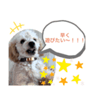ティファとバーリー（個別スタンプ：6）