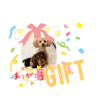 ティファとバーリー（個別スタンプ：7）