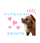 ティファとバーリー（個別スタンプ：14）