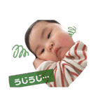 ぽちゃはるスタンプ3（個別スタンプ：3）