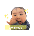 ぽちゃはるスタンプ3（個別スタンプ：4）