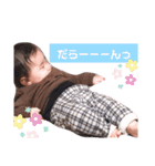 ぽちゃはるスタンプ3（個別スタンプ：17）