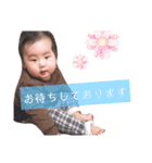 ぽちゃはるスタンプ3（個別スタンプ：19）