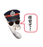 保護猫 ミイナスタンプ（個別スタンプ：36）
