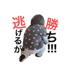 Rioto★Stamp2（個別スタンプ：4）