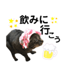 あんこのこ、ギン・にゃーちゃんver.（個別スタンプ：9）