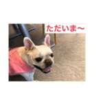 すあまのすーです。（個別スタンプ：5）
