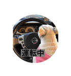 すあまのすーです。（個別スタンプ：10）