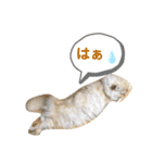 らぶマイペットたち（個別スタンプ：8）