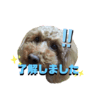 cute*スタンプ（個別スタンプ：4）
