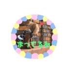 cute*スタンプ（個別スタンプ：5）