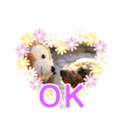 cute*スタンプ（個別スタンプ：7）
