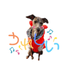 イタグレのMAMO 2（個別スタンプ：5）