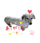 愛犬アッシュの日常生活(カニヘンダックス)（個別スタンプ：6）