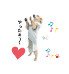 愛犬アッシュの日常生活(カニヘンダックス)（個別スタンプ：10）