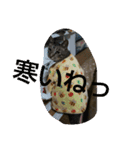 bibi.toa（個別スタンプ：2）