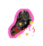 bibi.toa（個別スタンプ：4）
