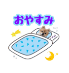 ポメラニアン★もも＆さくら（個別スタンプ：2）
