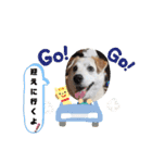 我が家のくぅたん3（個別スタンプ：14）