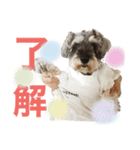 Qooちゃんスタンプップ（個別スタンプ：2）